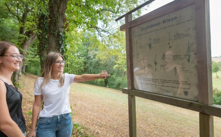 Waldlehrpfad Mühlbergwald und jüdischer Friedhof mit Mausoleum in Waibstadt