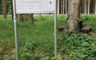 AliSa Erlebnisweg „Wolfslochrunde“ in Helmstadt-Bargen