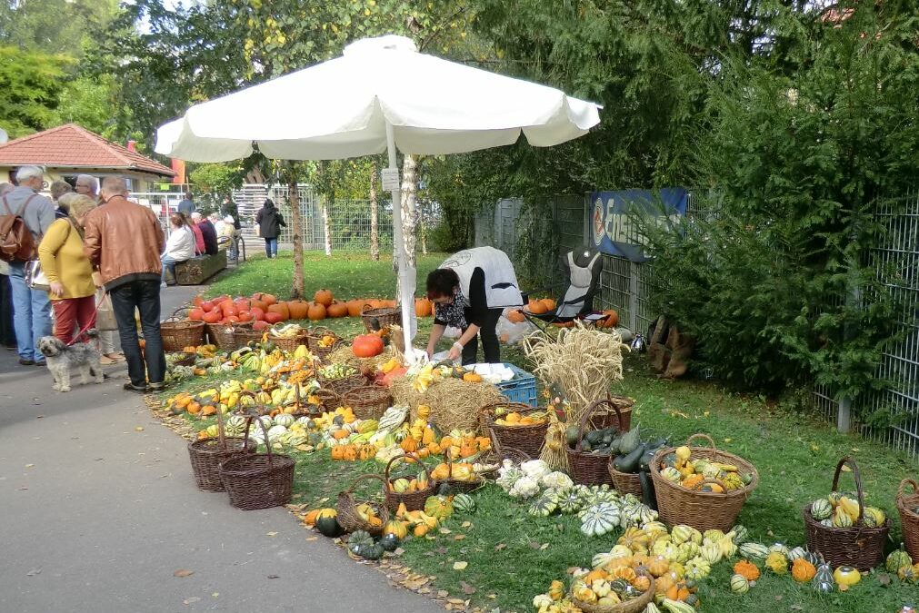 Bauernmarkt in Schwarzach