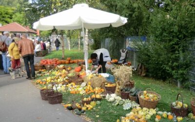 Bauernmarkt in Schwarzach