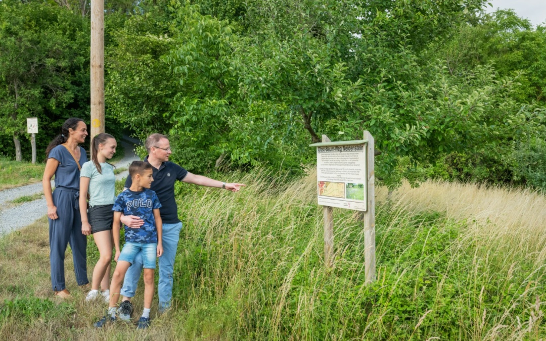 Die Erlebnisregion stellt sich vor: Der Obstbaumweg in Neidenstein