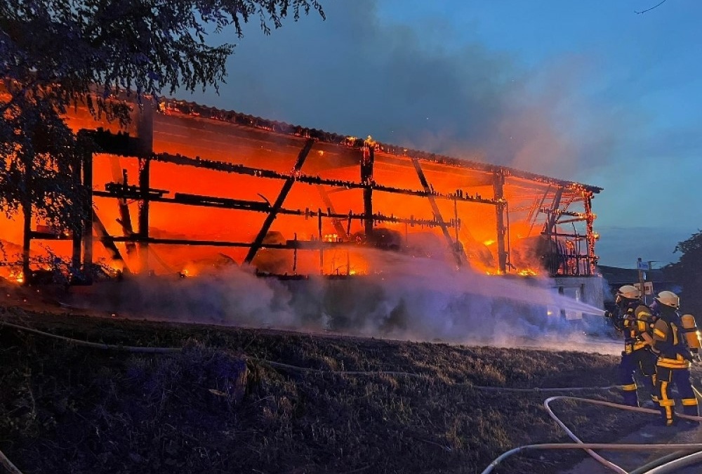 Erfreulicher Mitgliederzuwachs für Feuerwehrkräfte im Rhein-Neckar-Kreis