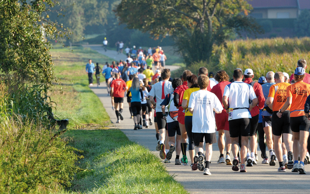 25. Sparkasse Kraichgau-Lauf: nur noch 100 Tage bis zum Jubiläumslauf