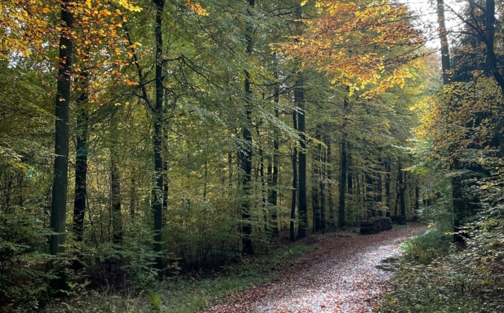 Naturlehrpfad und Maulwurf-Trail in Epfenbach