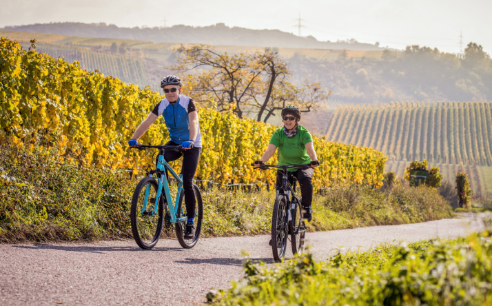 RadGuides Rhein-Neckar: Letzte Touren führen durch den Kraichgau