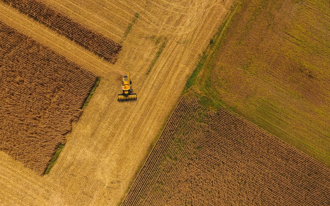 Immer mehr landwirtschaftliche Betriebe setzen auf mehrere Einkommensquellen