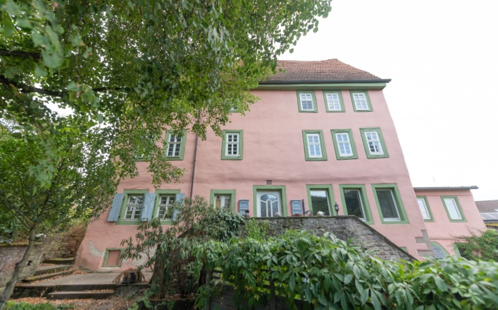 Degenfeld‘sches Schloss und Brunnenweible in Waibstadt