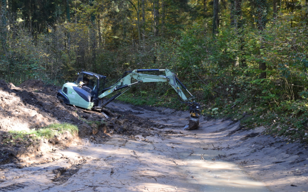 Sanierung Amphibiengewässer Langlochweg in Rohrbach